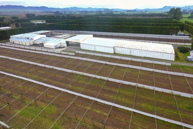 Photo of property in 11 Trig Road, Waihi, 3681