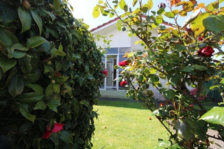Photo of property in 31a Elizabeth Street, Matamata, 3400