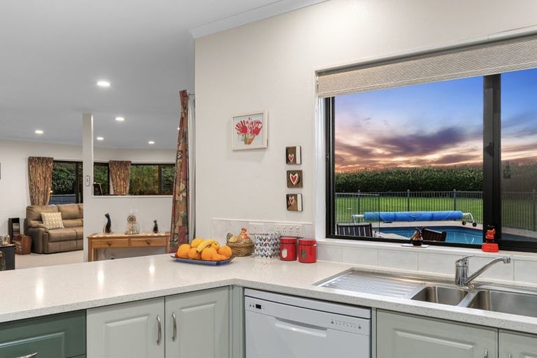 Photo of property in 928 Omanawa Road, Omanawa, Tauranga, 3171