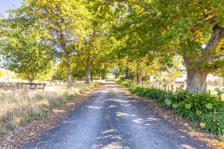 Photo of property in 724 Porangahau Road, Waipukurau, 4282