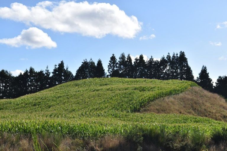 Photo of property in 936 Mangatete Road, Ngakuru, Rotorua, 3077