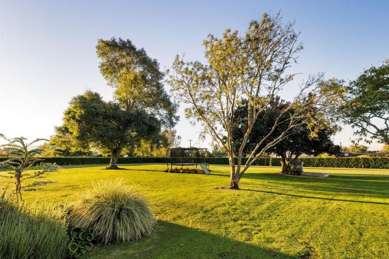 Photo of property in 48 Peake Road, Cambridge, Hamilton, 3283