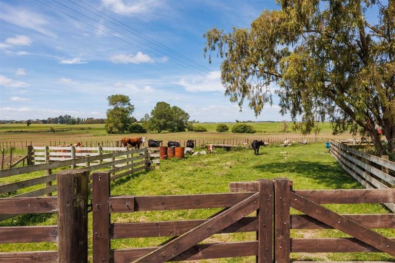 Photo of property in 366 Tutaenui Road, Marton, 4788