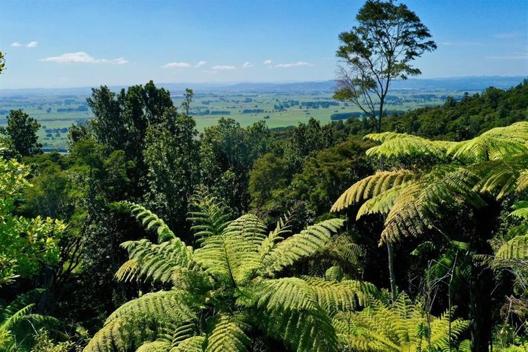 Photo of property in 132 Kokako Heights, Matata, 3194