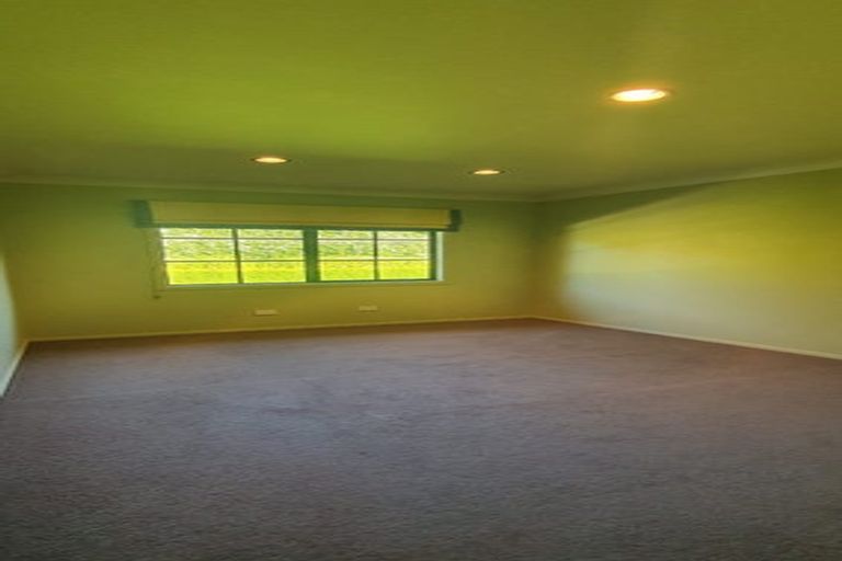 Photo of property in 21 Stella Place, Chartwell, Hamilton, 3210