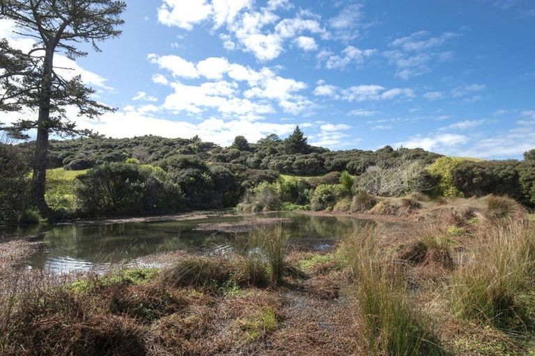 Photo of property in 53 Rautahi Terrace, Redvale, Albany, 0792