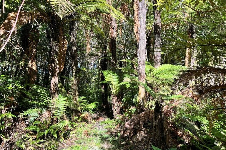 Photo of property in 754 Rutherglen Road, Marsden, Greymouth, 7872