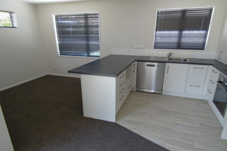 Photo of property in 47a Frankleigh Street, Somerfield, Christchurch, 8024