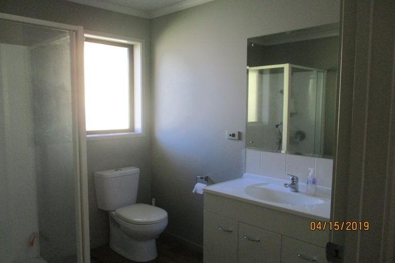 Photo of property in 31e Willoughby Street, Whitiora, Hamilton, 3200