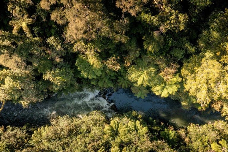 Photo of property in 795 Maungarangi Road, Paengaroa, 3189