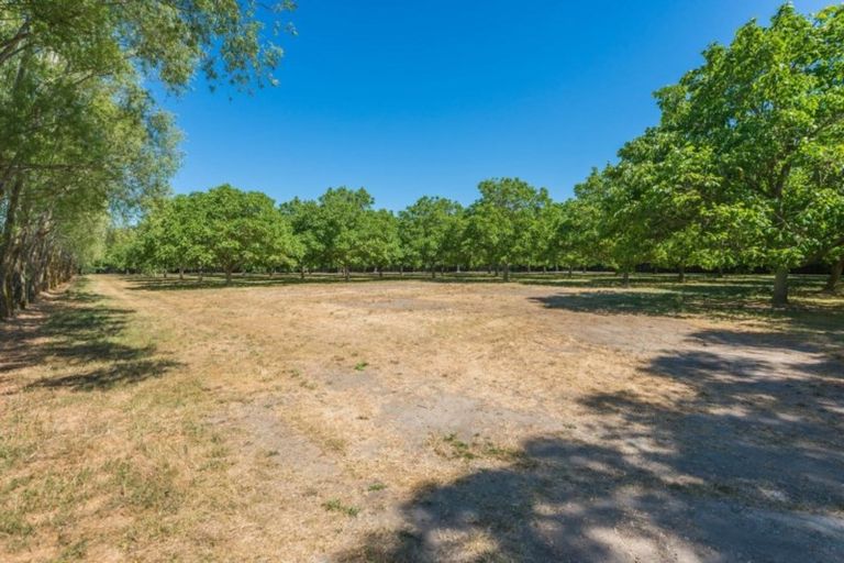 Photo of property in 138 Cullen Avenue, Swannanoa, 7475