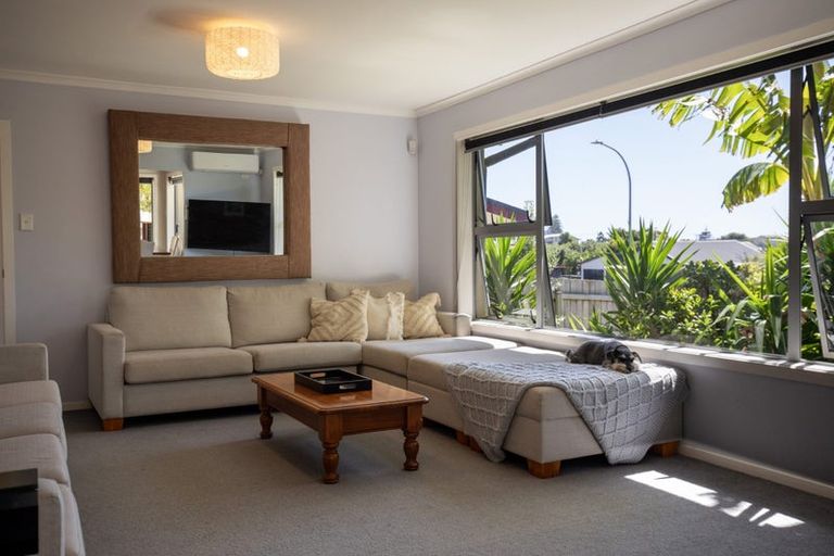 Photo of property in 11 Park Drive, Raglan, 3225