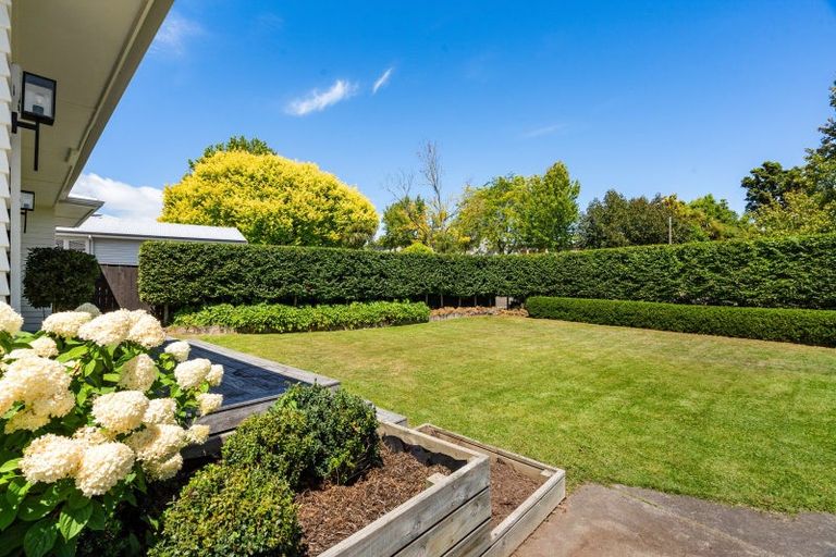 Photo of property in 41 Mchardy Street, Havelock North, 4130