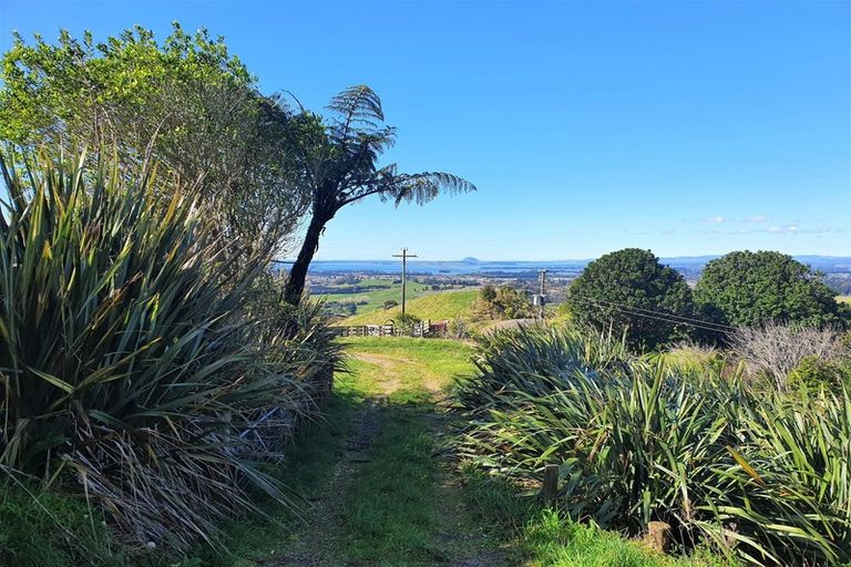 Photo of property in 335 Lindemann Road, Tahawai, Katikati, 3170