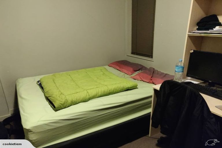 Photo of property in City Lodge, 509/115 Vivian Street, Te Aro, Wellington, 6011