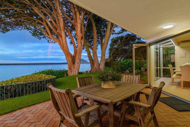 Photo of property in 41 Woods Avenue, Matua, Tauranga, 3110