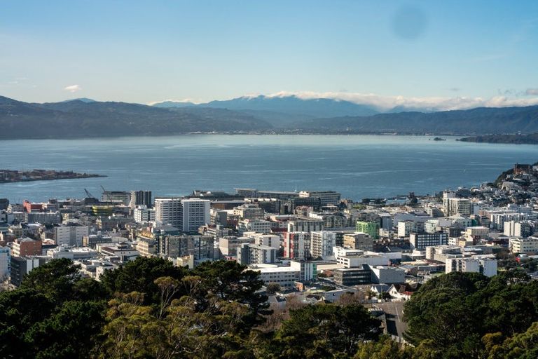 Photo of property in Harbour View Apartments, 147 Ohiro Road, Brooklyn, Wellington, 6021