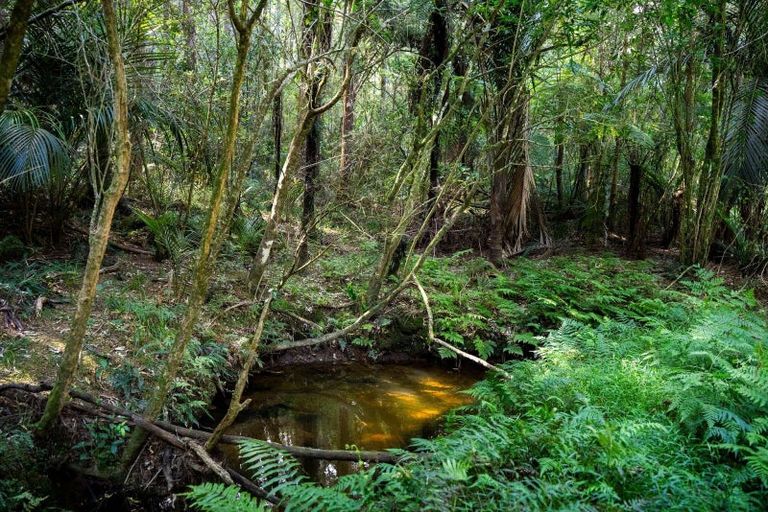 Photo of property in 136 Knight Road, Ruatangata West, Whangarei, 0176