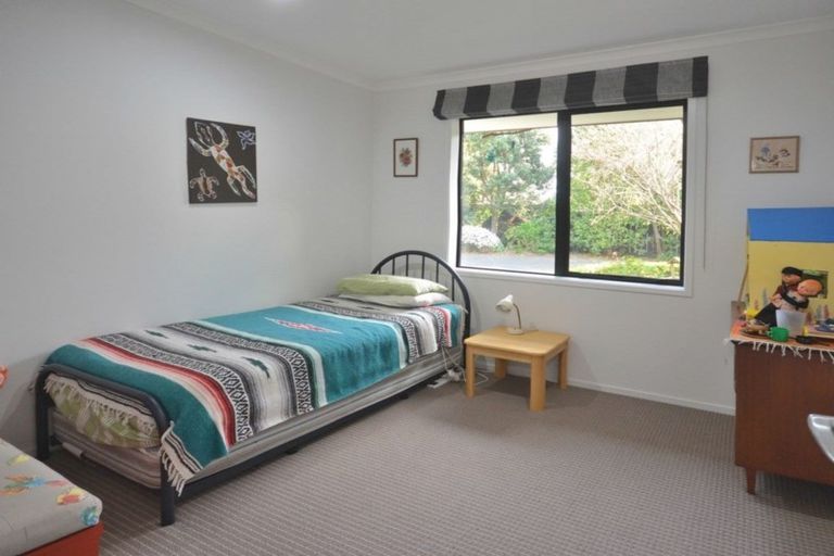 Photo of property in 111 Chater Avenue, Bethlehem, Tauranga, 3110