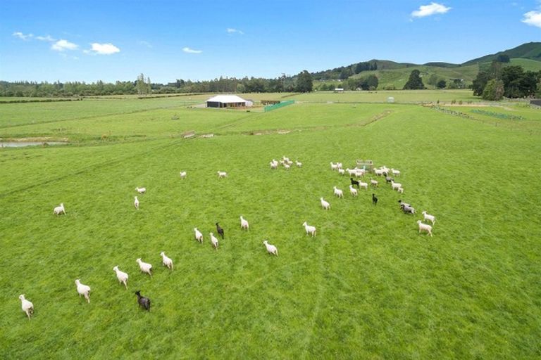 Photo of property in 216 Powells Road, Starvation Hill, Oxford, 7495