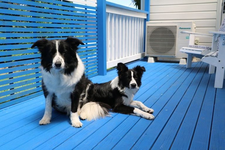 Photo of property in 69 Maplesden Drive, Clendon Park, Auckland, 2103