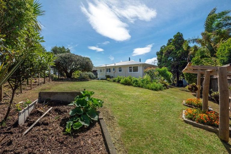Photo of property in 13 Windsor Place, Windsor Park, Auckland, 0630