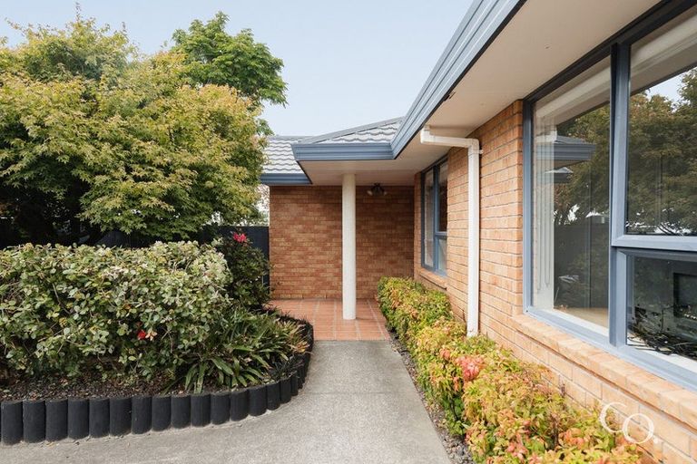 Photo of property in 41 Francevic Avenue, Mount Maunganui, 3116