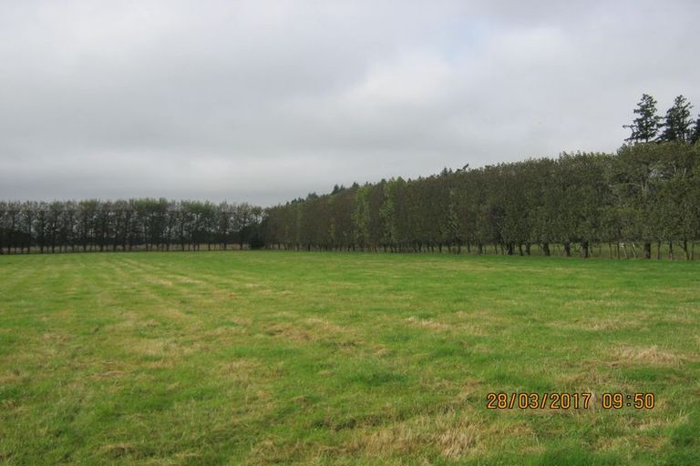 Photo of property in 36 Burdon Road, Woodbury, Geraldine, 7991