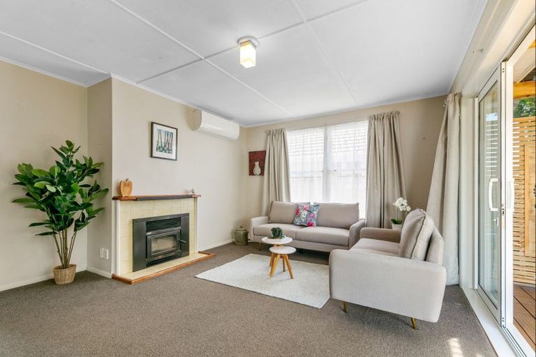 Photo of property in 9 Dorset Street, Levin, 5510