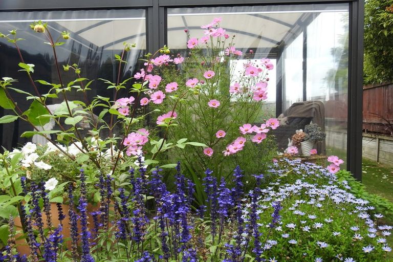 Photo of property in 9 Magnolia Lane, Waihi, 3610