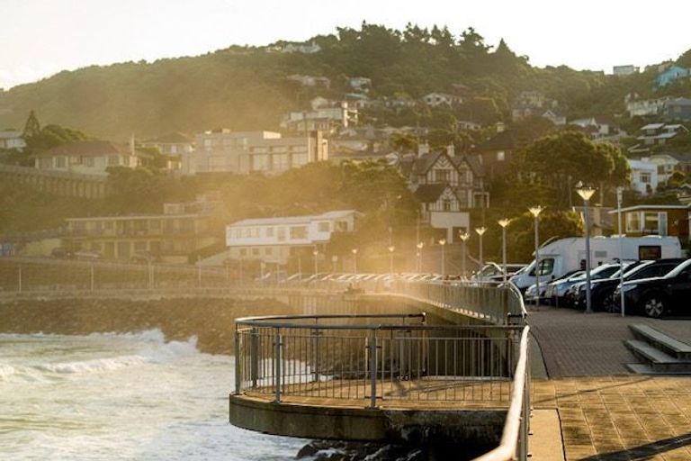 Photo of property in 89-95 Bedford Street, Cannons Creek, Porirua, 5024