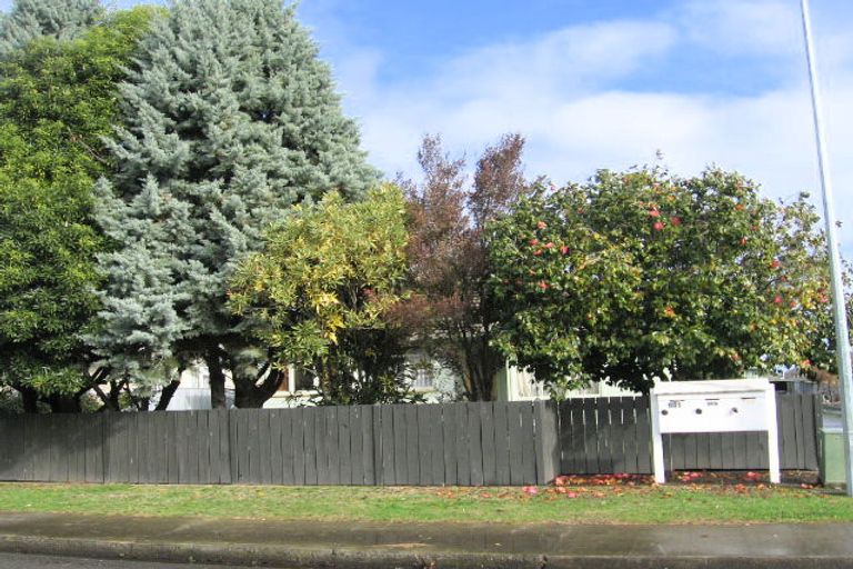 Photo of property in 723 Collinge Road, Mayfair, Hastings, 4122