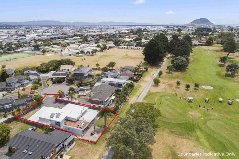 Photo of property in 14 Ascot Place, Mount Maunganui, 3116