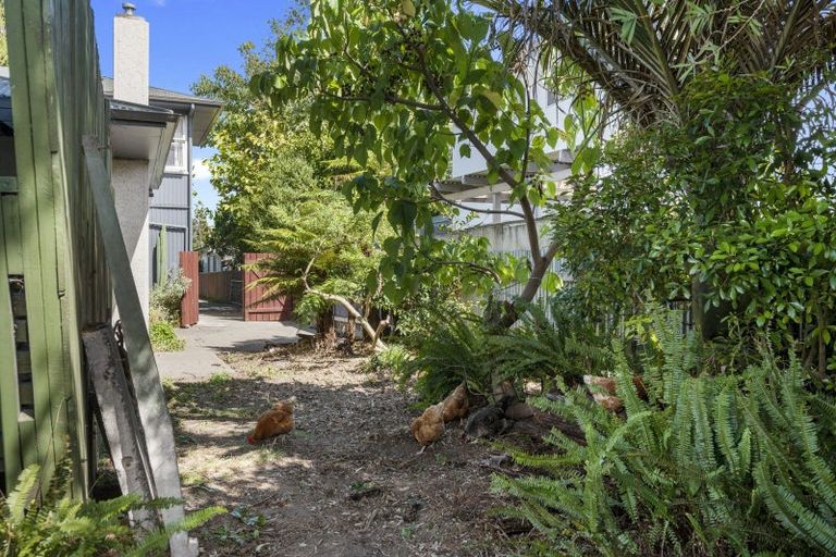 Photo of property in 611a Saint Aubyn Street West, Saint Leonards, Hastings, 4120