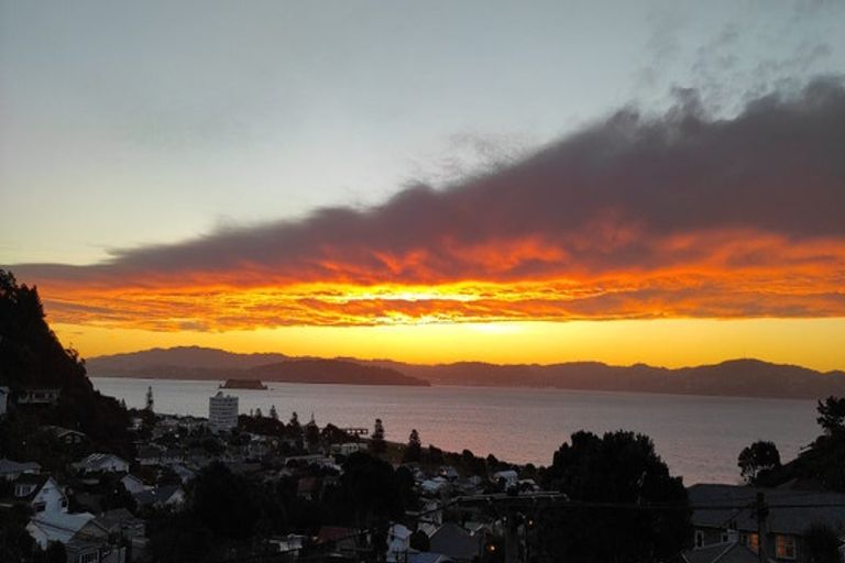 Photo of property in 43 Totara Street, Eastbourne, Lower Hutt, 5013