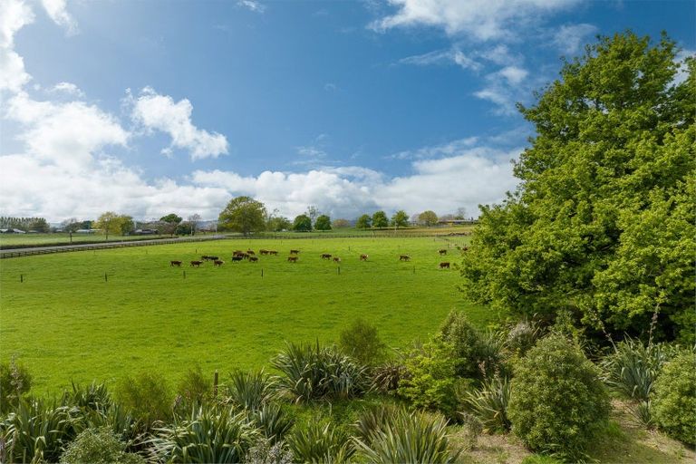 Photo of property in 447 Roto O Rangi Road, Rotoorangi, Cambridge, 3495
