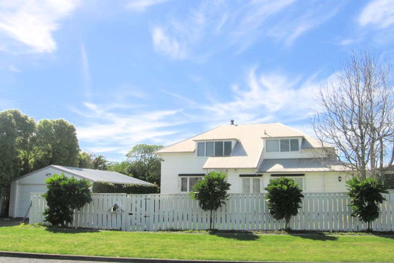 Photo of property in 41 Campbell Road, Mount Maunganui, 3116