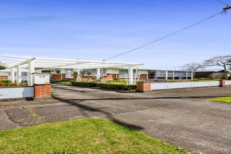 Photo of property in 75 Domett Street, Waitara, 4320