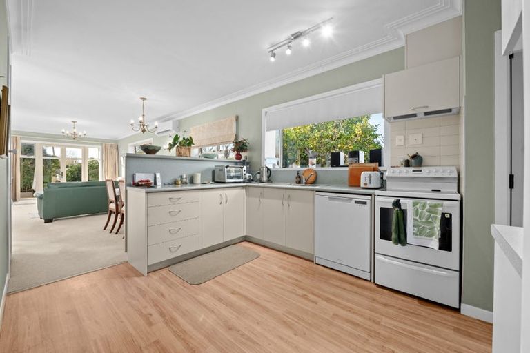 Photo of property in 48 Wymer Terrace, Chartwell, Hamilton, 3210