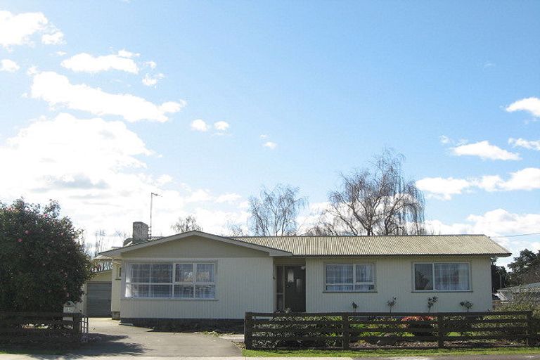 Photo of property in 31 Francis Drake Street, Waipukurau, 4200