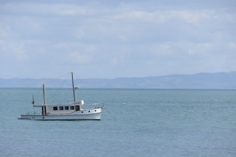 Photo of property in 818 Thames Coast Sh25 Road, Tapu, Thames, 3575