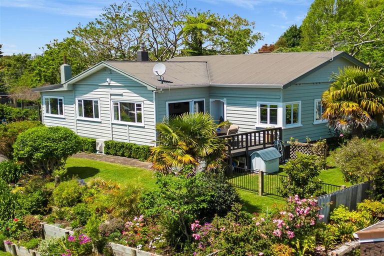 Photo of property in 50 Lee Street, Te Puke, 3119