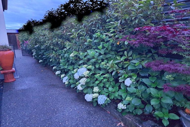 Photo of property in 164 Kimbolton Road, Feilding, 4702