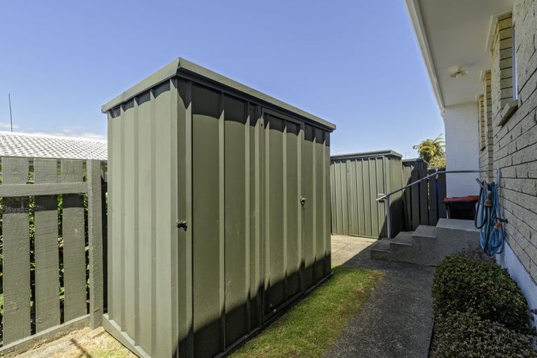 Photo of property in 36 Twentythird Avenue, Gate Pa, Tauranga, 3112