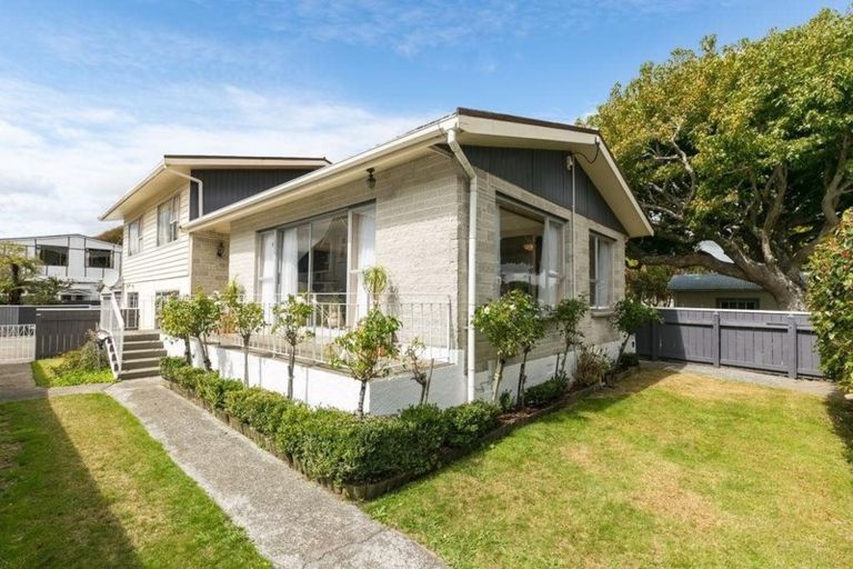 Photo of property in 22 Bloomfield Terrace, Hutt Central, Lower Hutt, 5010