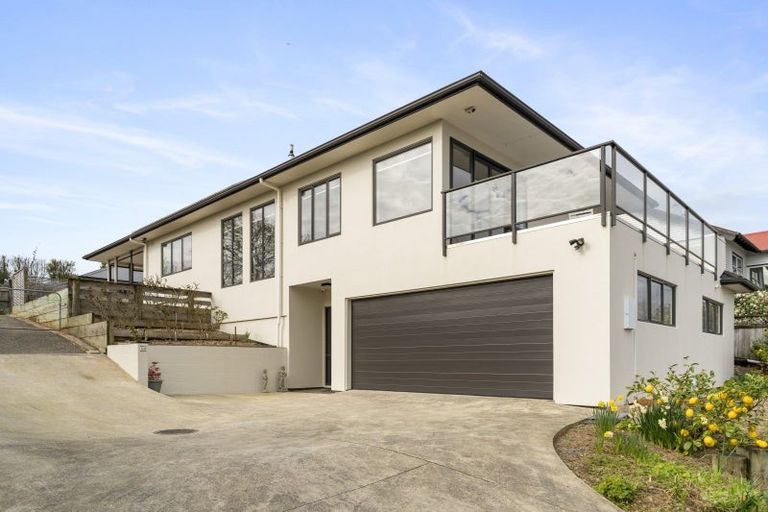 Photo of property in 13a Manchester Street, Takaro, Palmerston North, 4412