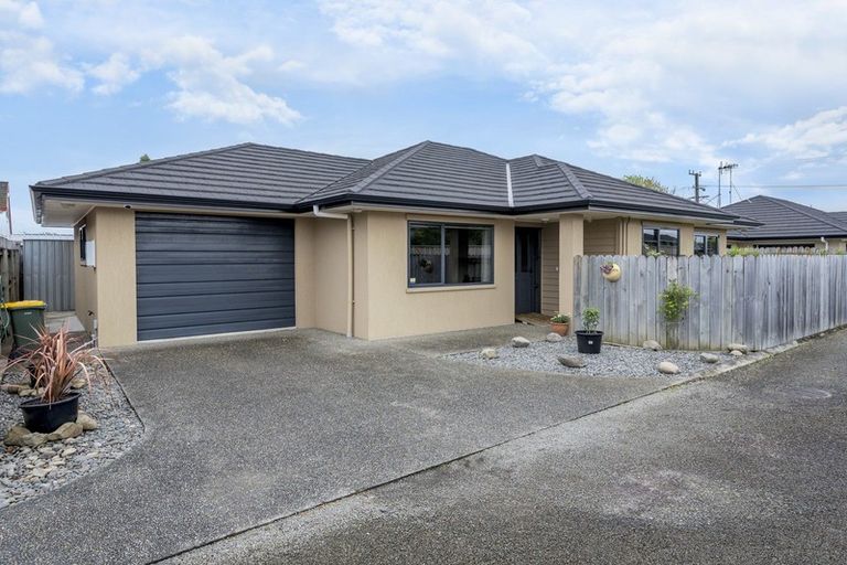 Photo of property in 166a Winchester Street, Levin, 5510