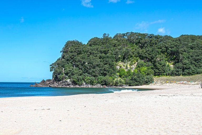 Photo of property in 226 Onemana Drive, Onemana, Whangamata, 3691