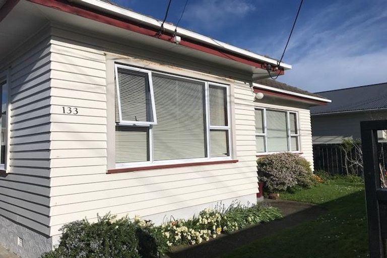 Photo of property in 133 Derwent Street, Island Bay, Wellington, 6023