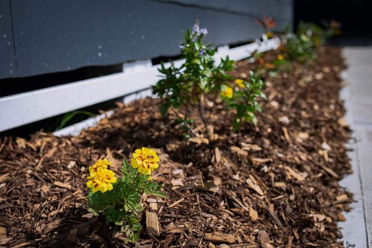 Photo of property in 34 Old Quarry Road, Selwyn Heights, Rotorua, 3015